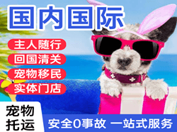 鄂托克旗乌兰航空托运国际宠物托运 【国